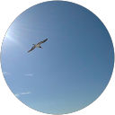 Fotografia de profil a utilizatorului Teodor B